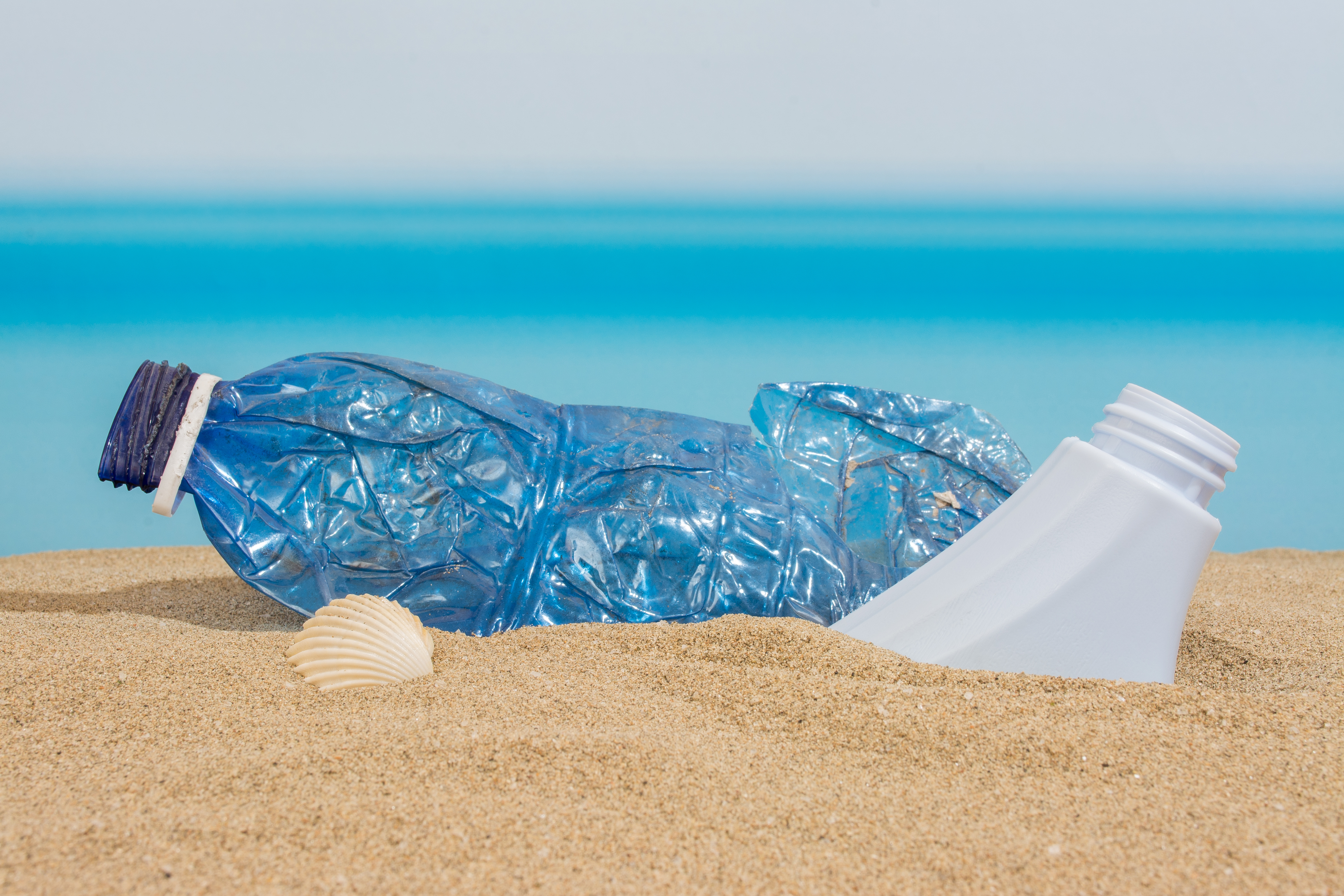Plastic bottle on the beach